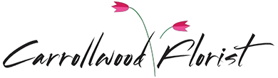 Carrollwood Florist promotions 