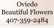 Oviedo Beautiful Flowers promotions 