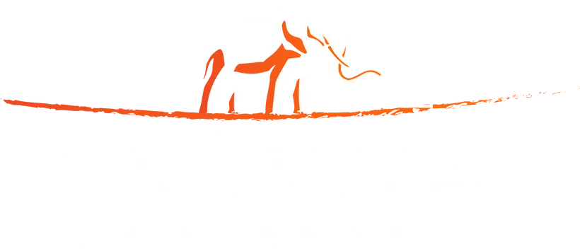 Elephantos.Com promotions 